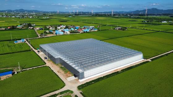 충남 당진시 합덕읍 민정욱씨가 운영하는 스마트 팜. 사진 민정욱씨