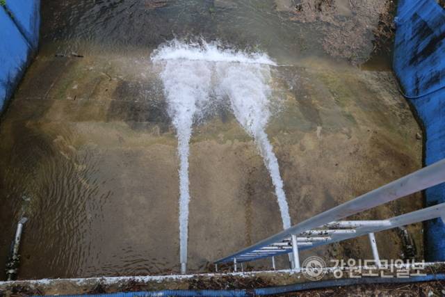 ▲ 20일 오후 1시쯤 평창 도암댐 도수관로 비상 방류가 시작됐다. 강릉시 성산면 한국수력원자력 강릉수력발전소 방류구에서 방류수가 나오고 있다. 황선우 기자