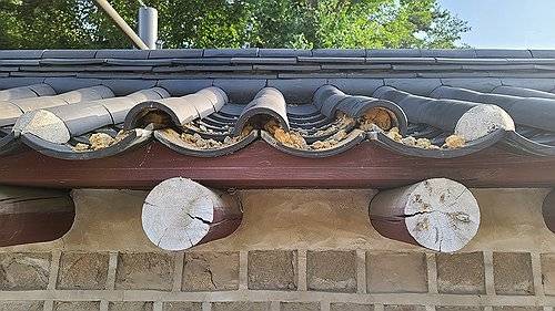 16일 종묘의 정문인 외대문에서 서순라길 방향으로 이어지는 외곽 담장의 기와가 떨어져 있거나 파손돼 있다. 국가유산청 제공