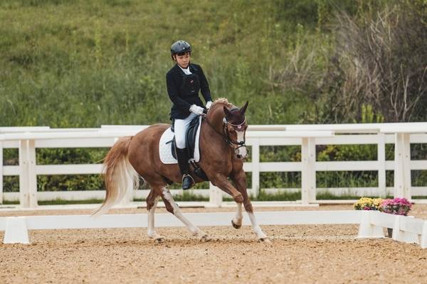 경기도승마협회 나원제가 2025 추계전국승마대회 중등부 마장마술경기에서 연기를 하고 있다. /경기도승마협회 제공