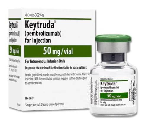 미국 머크(MSD)의 면역 항암제 키트루다. /머크