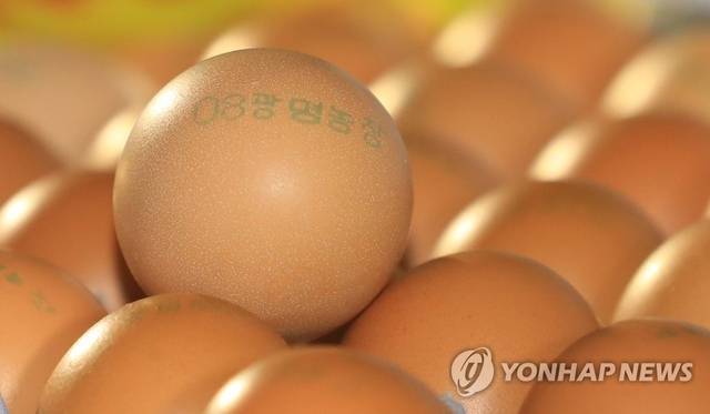 사진은 기사와 직접적인 관련이 없음. [연합뉴스]