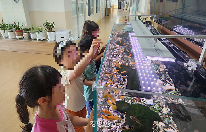 서산초 복도에 설치된 대형 수족관 앞에서 학생들이 물고기를 관찰하고 있다. 고귀한 기자