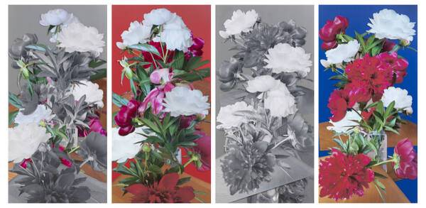 박지현 作 ‘신궁중모란도’. 예술공간 아름 제공