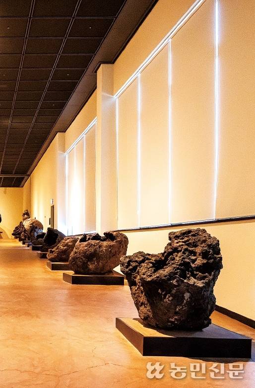 기묘한 형태의 용암구와 화산탄 등이 전시된 제주돌박물관 돌갤러리.