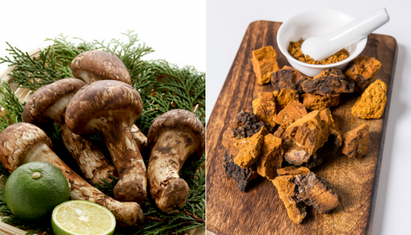 사진=게티이미지뱅크