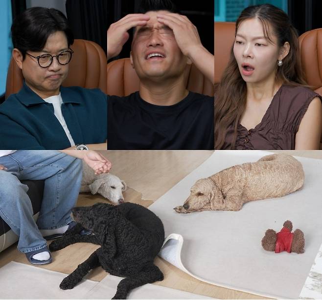 사진제공=채널A