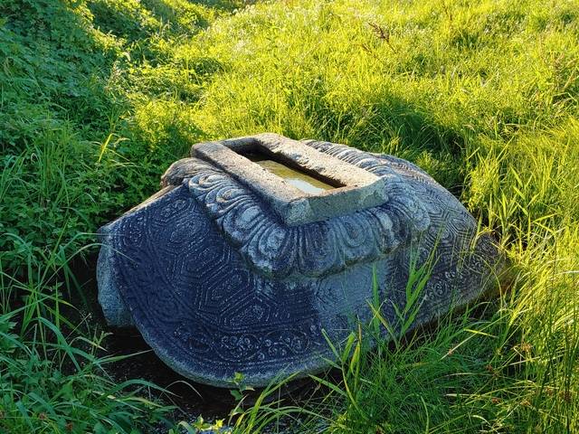 사천왕사지 남쪽의 귀부.