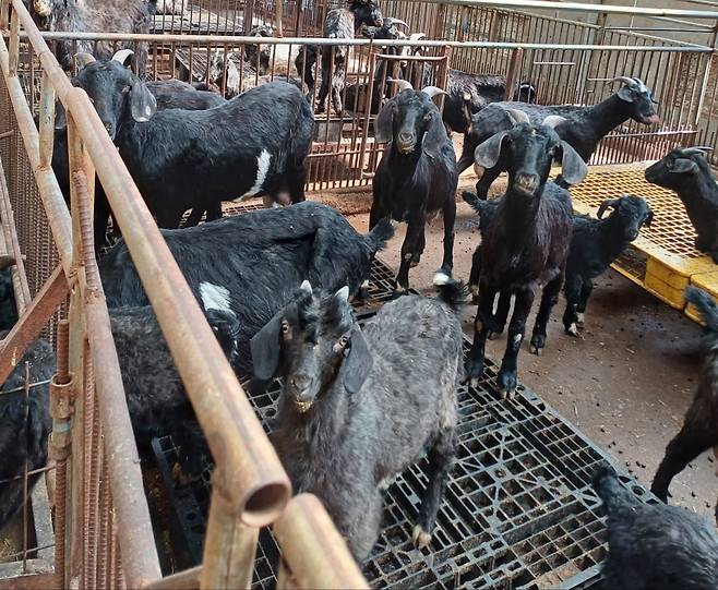 사진=농림축산식품부 제공