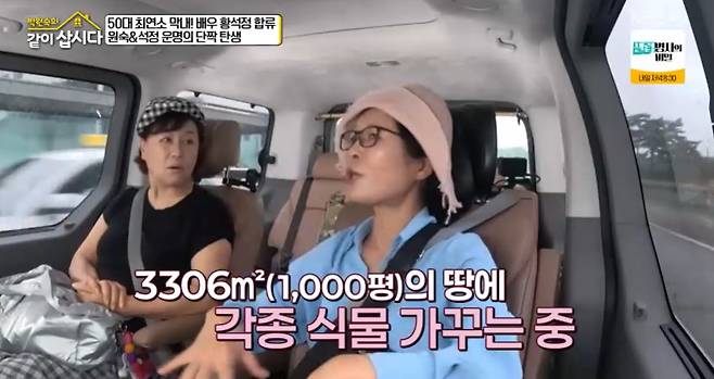 KBS 2TV ‘박원숙의 같이 삽시다’