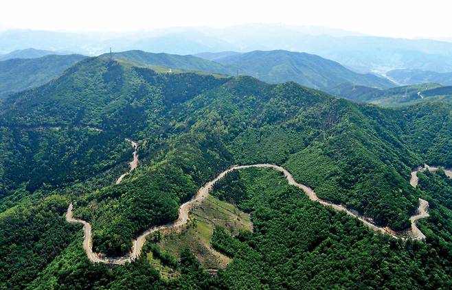 강원도 정선군 가리왕산 임도 [산림청 제공. 재판매 및 DB 금지]