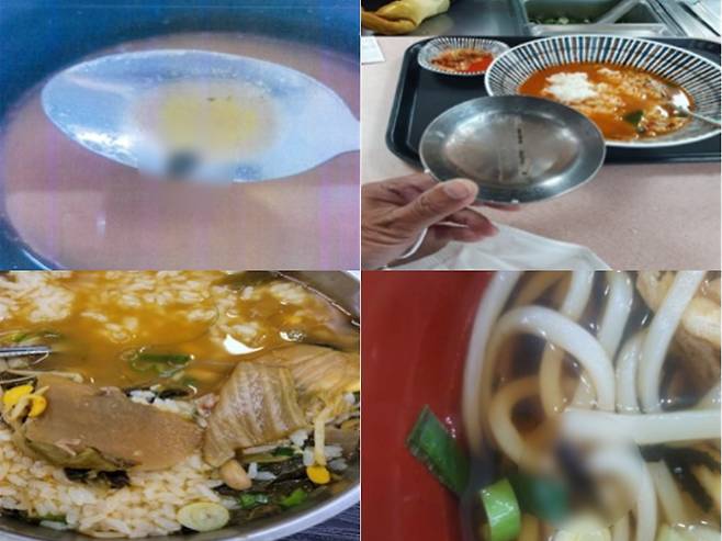 고속도로 휴게소 음식 중 이물질 혼입이 된 음식 사례 [정희용 의원실 제공]