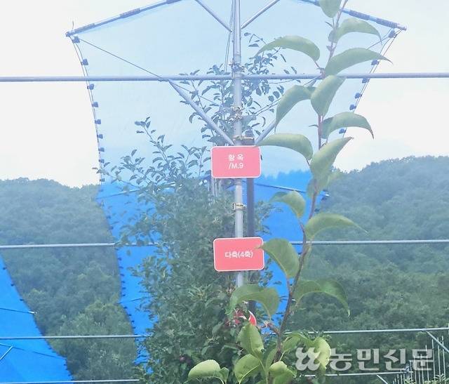 국립원예특작과학원 사과연구센터 시험포.