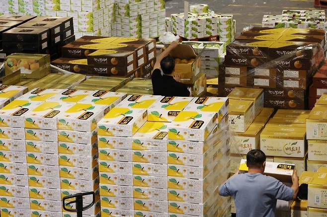 추석 선물세트 배송 대작전 - 22일 서울 가락동 농수산물도매시장에서 다가오는 추석을 앞두고 상인들이 과일상자를 분주하게 움직이고 있다. 2025.9.22 연합뉴스