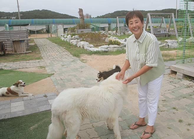 21일 박순덕 대표가 왕왕랜드에 풀어놓고 돌보는 반려견을 쓰다듬어 주고 있다. Ⓒ시사저널 구자익