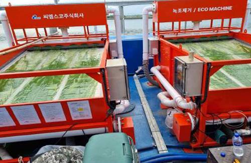 여과 스크린으로 거르는 모습. 이렇게 걸러진 녹조는 수분을 제거한 후 폐기 처리한다. /한국수자원공사 제공