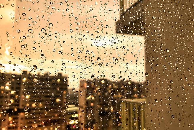 게티이미지뱅크