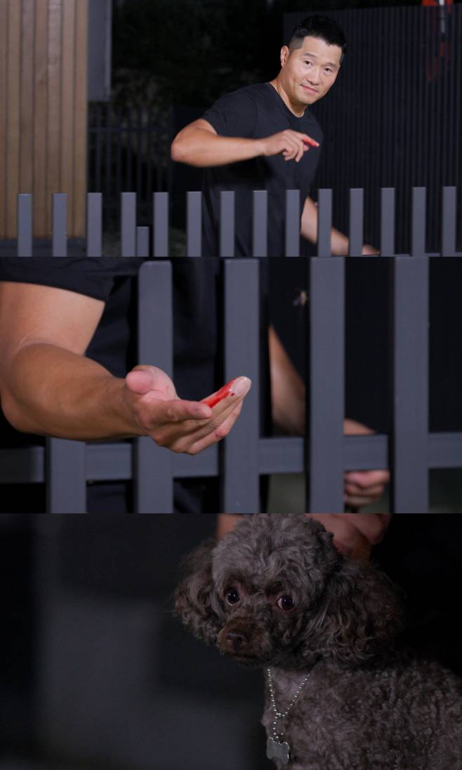 ‘개와늑대의시간’ 강형욱마저 물렸다! (사진: 채널A)