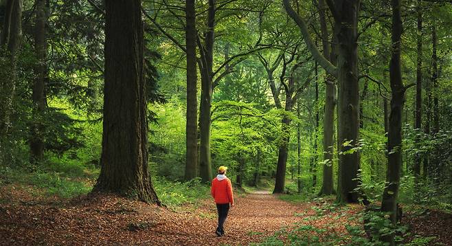 사진=게티이미지코리아.