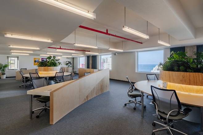 맹그로브 제주시티 워크 라운지. 맹그로브 제공