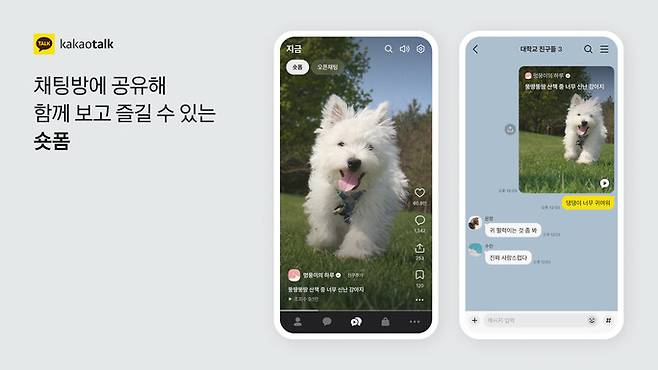 23일 오후 카카오톡 신규 기능으로 업데이트될 ‘숏폼 공유 기능’ 모습. 카카오 제공