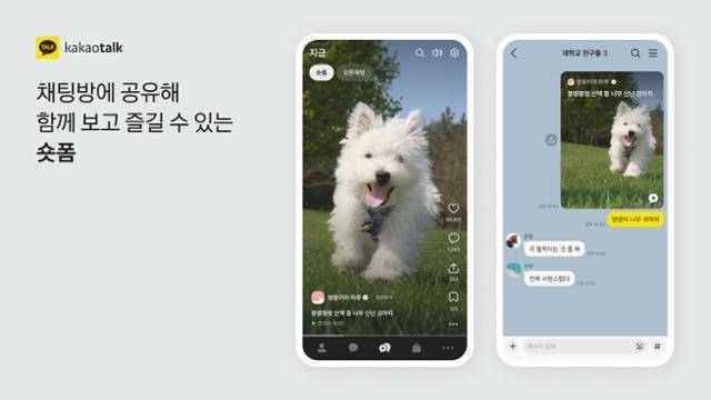 카카오톡 '숏폼' 기능. 카카오 제공