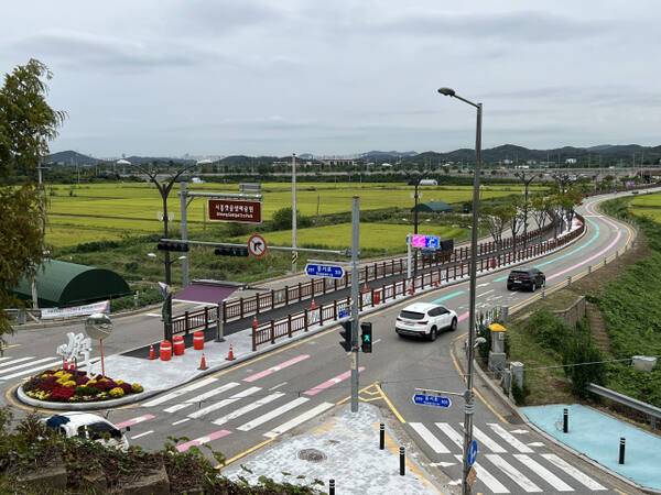 안전 펜스 교체 및 야간 경관 조명 설치가 끝난 갯골생태공원 진입로 전경. 경기도의회 제공.