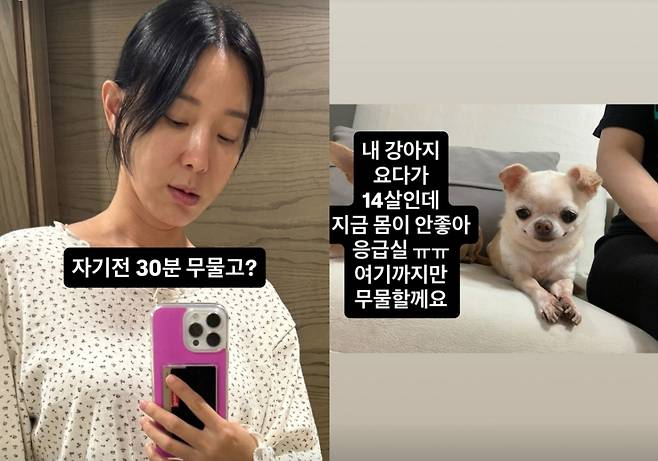 팬들과 SNS로 질의응답을 주고받던 이지혜가 반려견의 갑작스러운 건강 악화로 응급실을 찾았다. /사진=인스타그램 갈무리