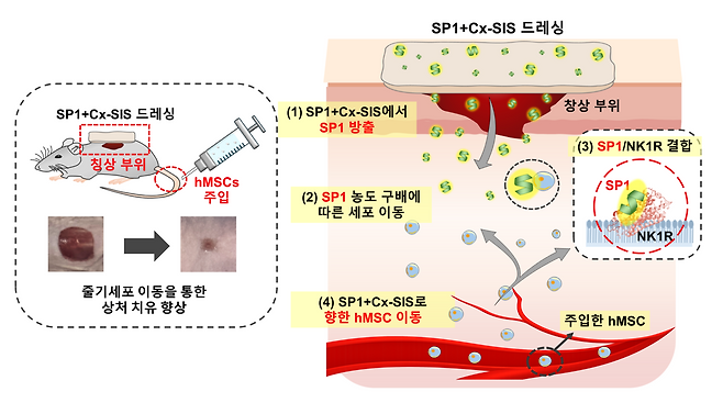 [아주대 제공]
