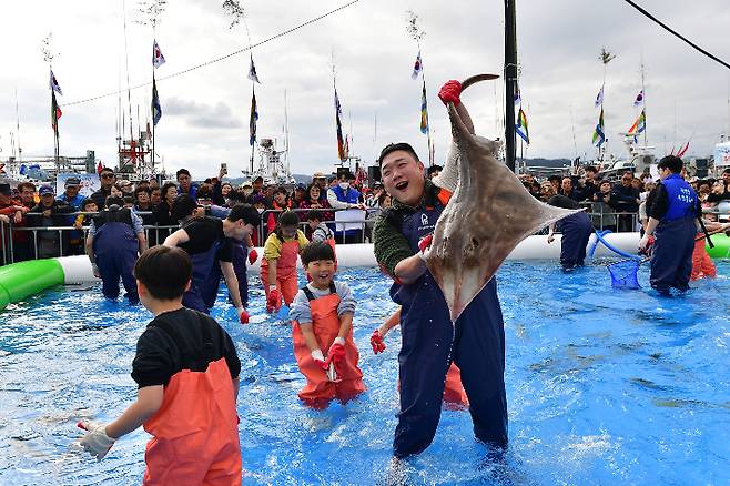 죽변항 수산물축제 맨손활어잡기 체험. 울진군 제공