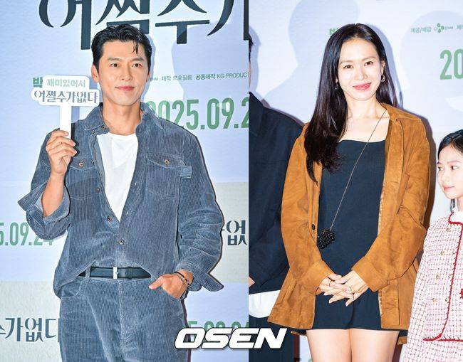 OSEN DB