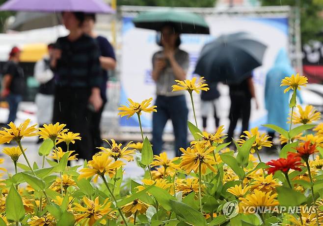 가을비 내리는 거리 (광주=연합뉴스) 조남수 기자 = 9일 광주 북구청 앞에서 시민들이 내리는 비에 우산을 쓰고 걷고 있다. 2025.9.9 iso64@yna.co.kr
