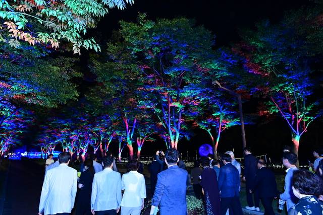 대가야수목원. 나무와 숲을 활용한 빛의 향연.