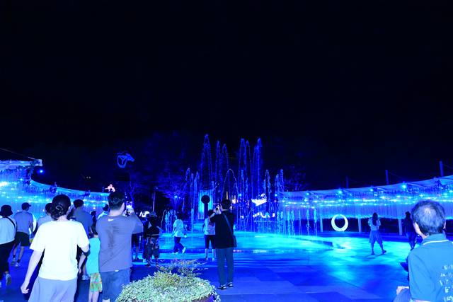 음악분수와 빛의 만남.