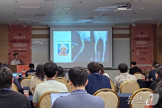 장재영 원장이 21일 서울수의임상컨퍼런스에서 반려동물 외과 강의를 하고 있다. ⓒ 뉴스1