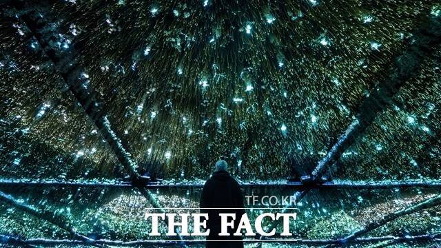 서울시는 24일 내달 3일부터 12일까지 뚝섬한강공원 일대에서 '서울라이트 한강 빛섬축제'를 개최한다고 밝혔다./서울시