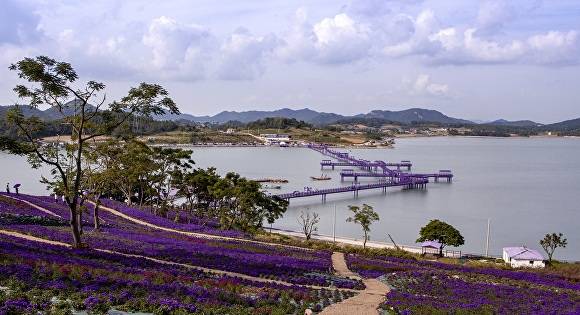 신안군 퍼플섬 전경 [사진=신안군]