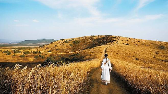 제주관광공사는 오는 26일부터 10월 12일까지 가을시즌 재주여행주간을 운영한다. 사진은 제주 따라비오름 억새밭을 걷는 관광객. [사진 제주관광공사]