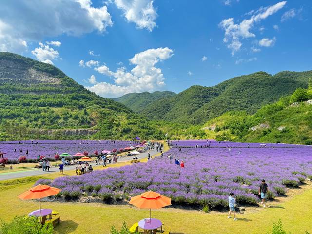 ▲ 동해시 무릉별유천지.