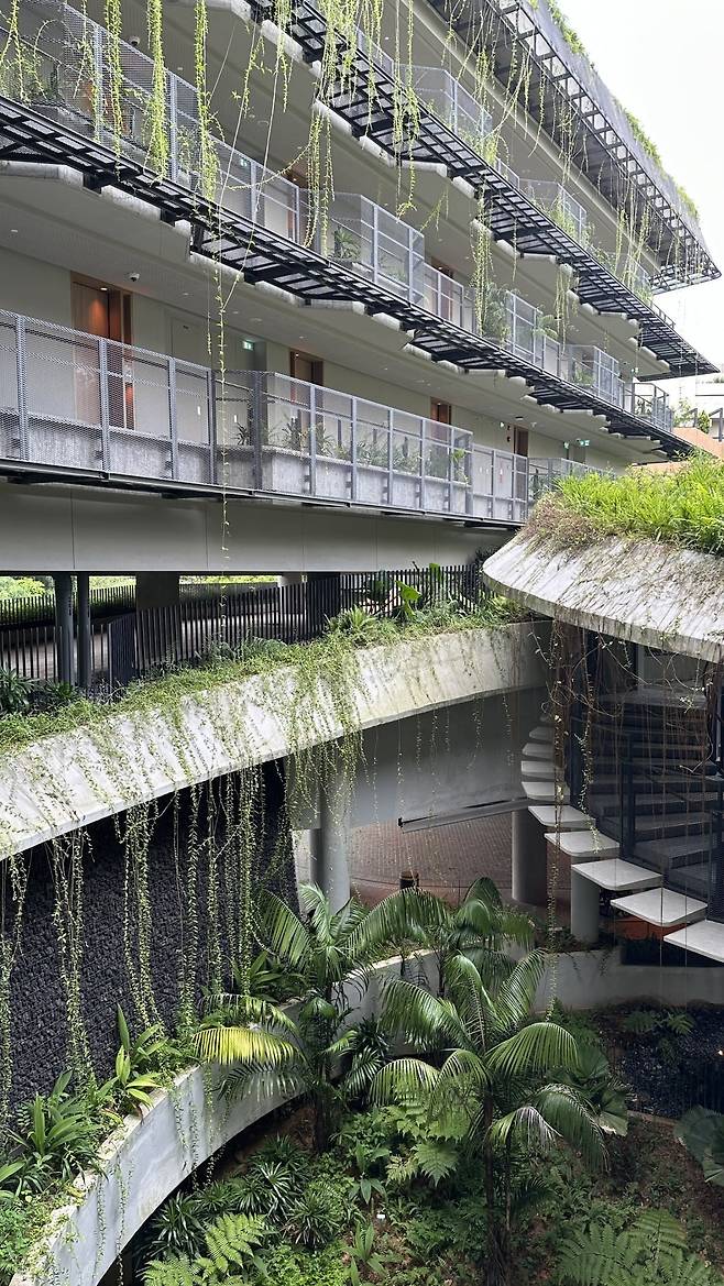 자연과 생명을 사랑하는 바이오필리아 철학이 곳곳에 묻어나는 건축물. 복도의 와이어 메쉬 망은 덩굴식물의 성장을 돕고 수직 녹화를 촉진한다. /강은영