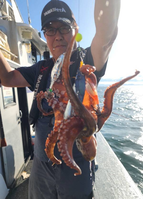 부산권에서 잡힌 문어.