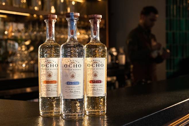 오초. [사진 출처 = 아영FBC]