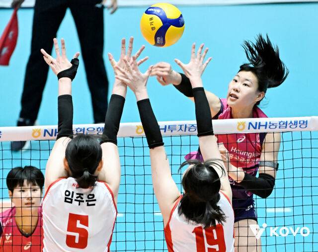 흥국생명 정윤주./KOVO