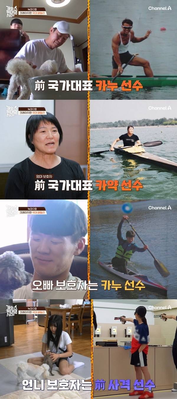 채널A ‘개와 늑대의 시간’ 캡처