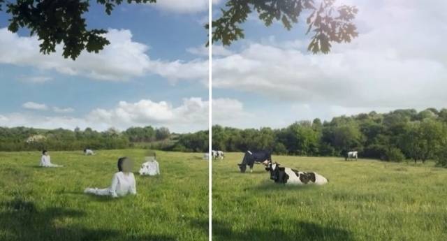 서울우유가 공개했다 삭제한 유기농 우유 홍보 영상 속 장면. 처음엔 여성들의 모습을 보여주다가 이후 젖소로 바뀐 장면을 연출했다. SNS 갈무리