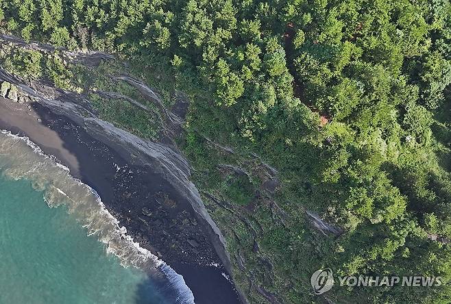 무너져 내린 송악산 절벽 (서귀포=연합뉴스) 박지호 기자 = 최근 제주 서귀포시 대정읍 송악산 절벽 일부가 무너져 24일 오전 해안에 대량의 낙석이 쌓여 있다. 무너진 구간 바로 옆으로 나무데크 탐방로가 보인다. 2025.9.24 jihopark@yna.co.kr