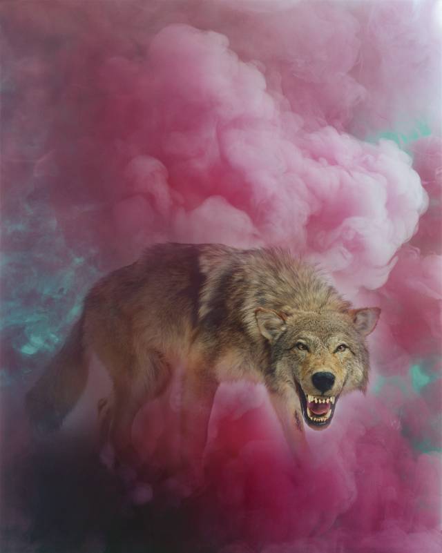 권순관, THE RED SMOKE #1. 부산국제사진제 제공