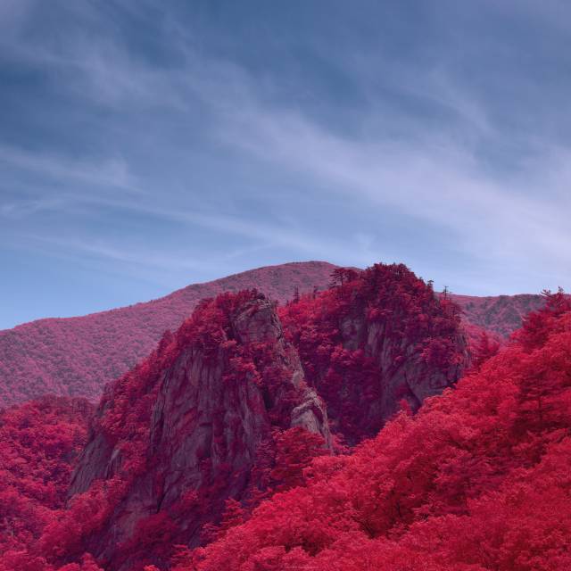 박진하 작품. 부산국제사진제 제공