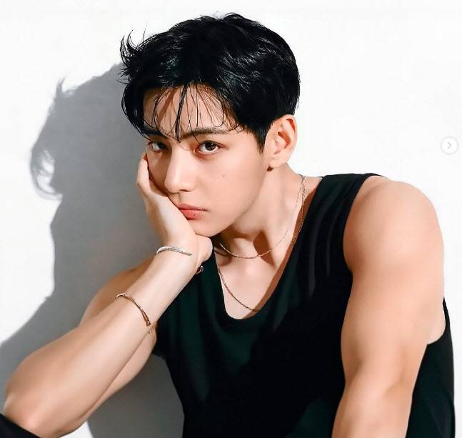 BTS 뷔가 청담동 초고가 주택을 142억 원에 현금 매입한 것으로 알려졌다.(사진=인스타그램 캡처)