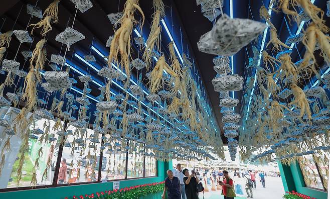 지난 19일 충남 금산세계인삼엑스포 광장에서 열린 금산세계인삼축제에서 관람객들이 인삼이 매달린 '생명의 문'을 지나고 있다. 이번 축제는 29일까지 열린다. /뉴스1